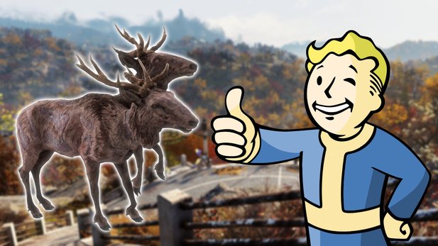 In Fallout 76, a wheeled deer is waiting to do you a favor.